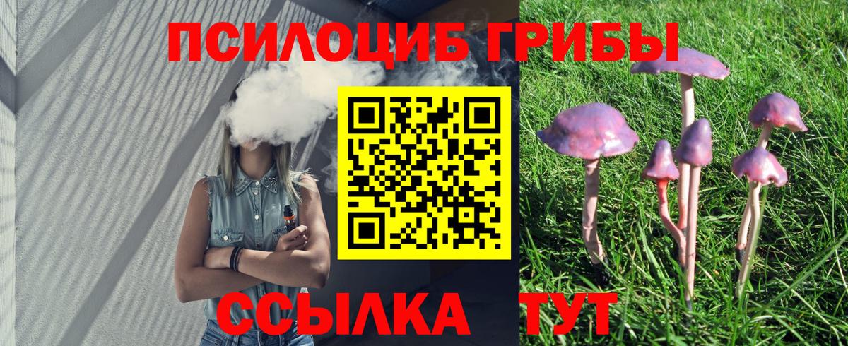 Псилоцибиновые грибы мицелий Дальнегорск