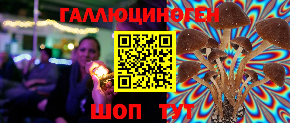 Псилоцибиновые грибы Magic Shrooms  где продают   Дальнегорск  Вход с VPN 