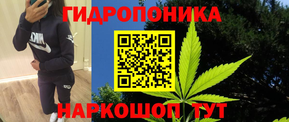 Канабис White Widow Дальнегорск
